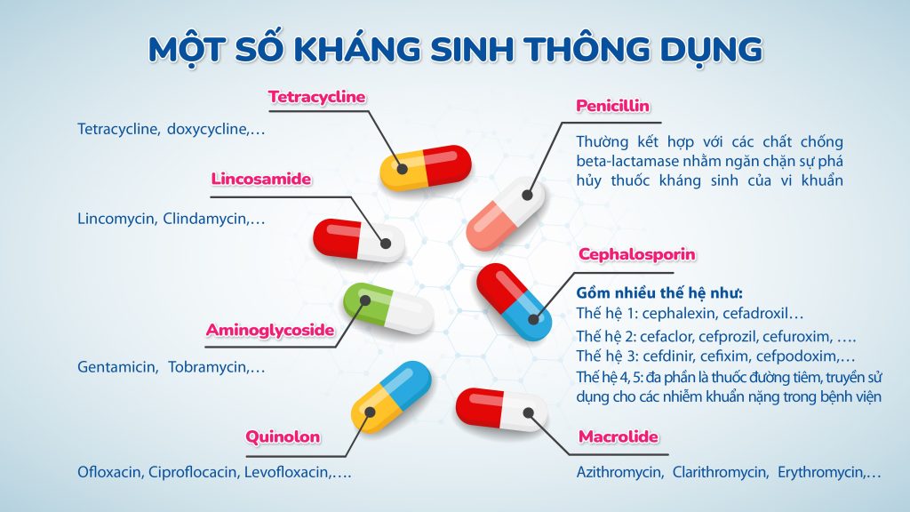 Các Thuốc Kháng Sinh Thông Dụng